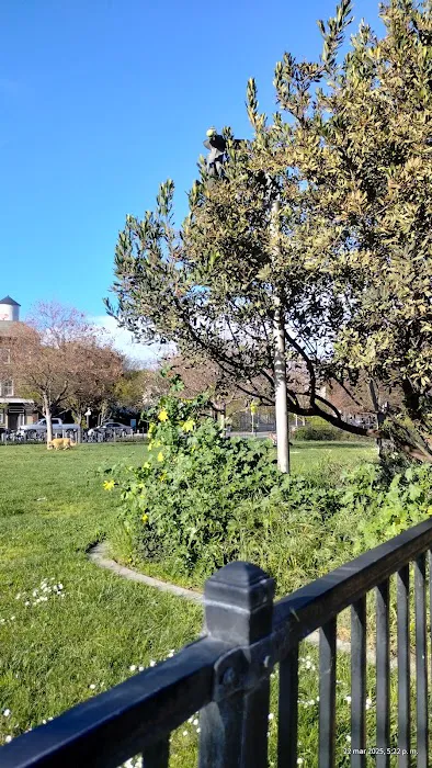 Del Monte Dog Park 6
