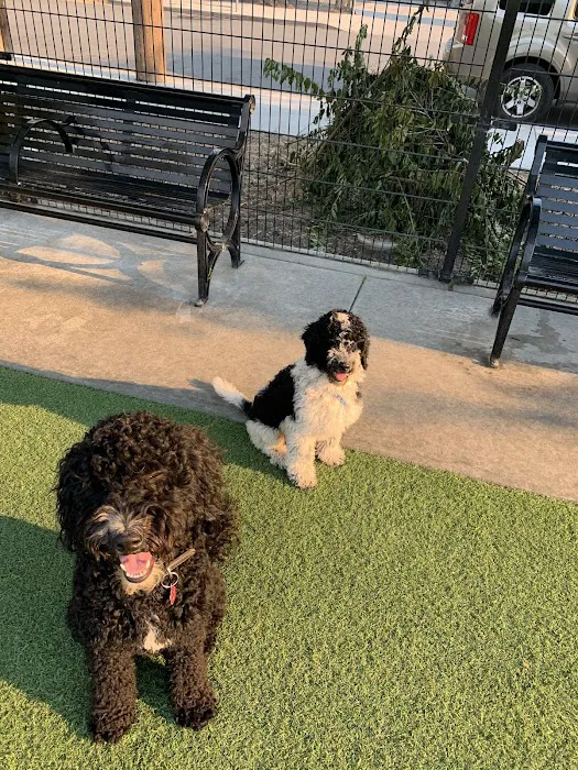 Del Monte Dog Park 9
