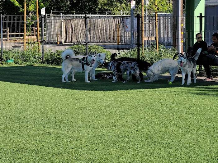 Del Monte Dog Park 10