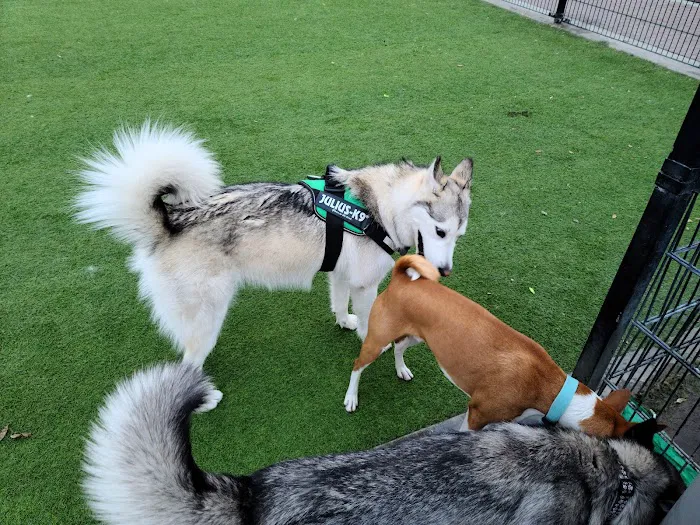 Del Monte Dog Park 7