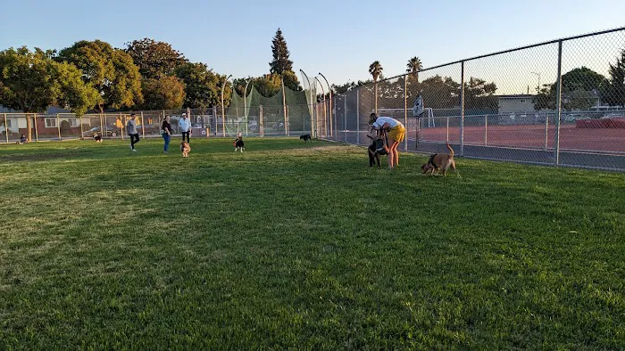 Lincoln Dog Park 2