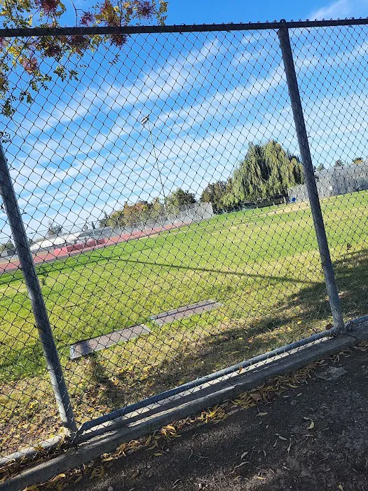 Lincoln Dog Park 4