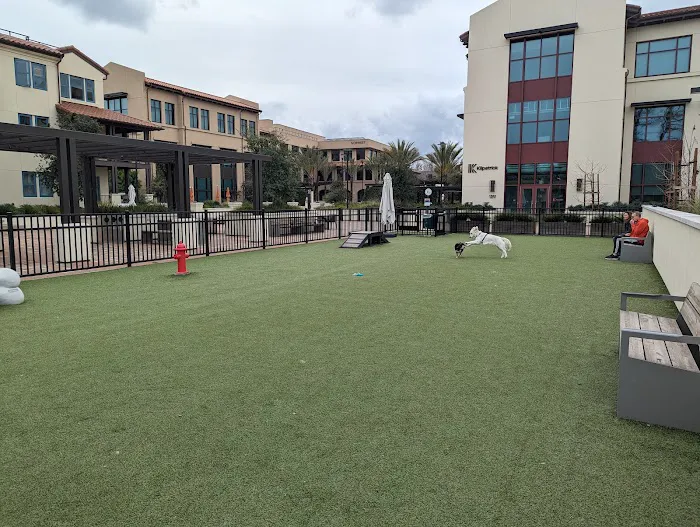 Springline - The Glade (Dog Park) 10