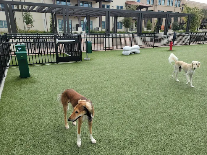 Springline - The Glade (Dog Park) 3
