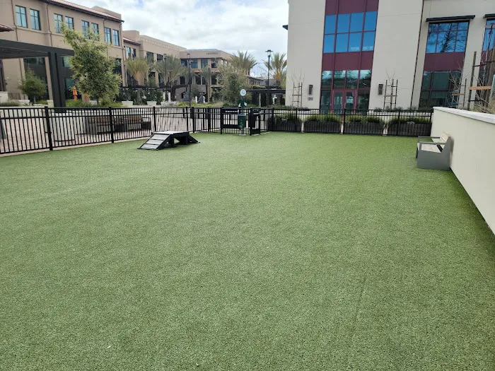 Springline - The Glade (Dog Park) 5
