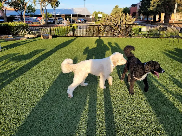 Village Green Dog Park 9