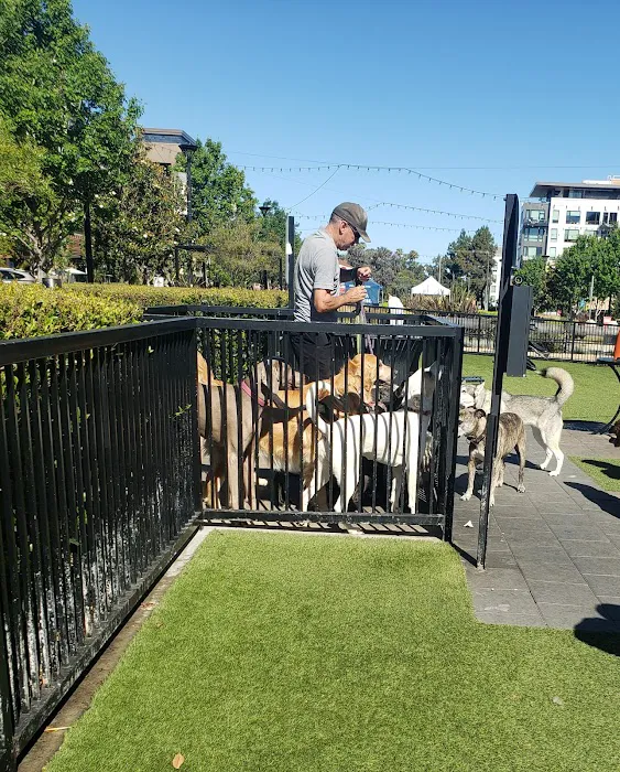 Village Green Dog Park 8