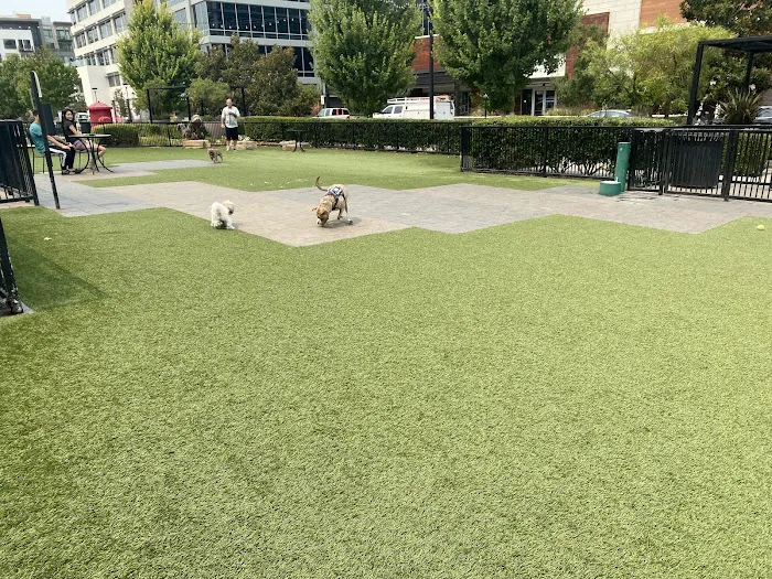 Village Green Dog Park 3