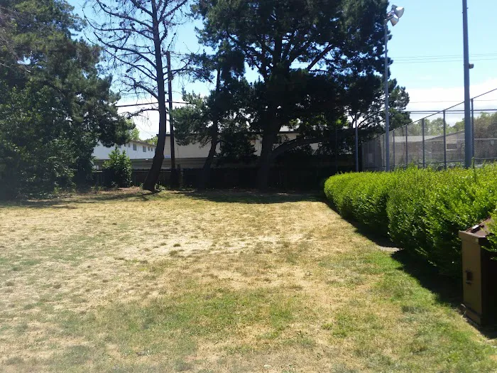 Fenced Dog Park | Rengstorff Park 7