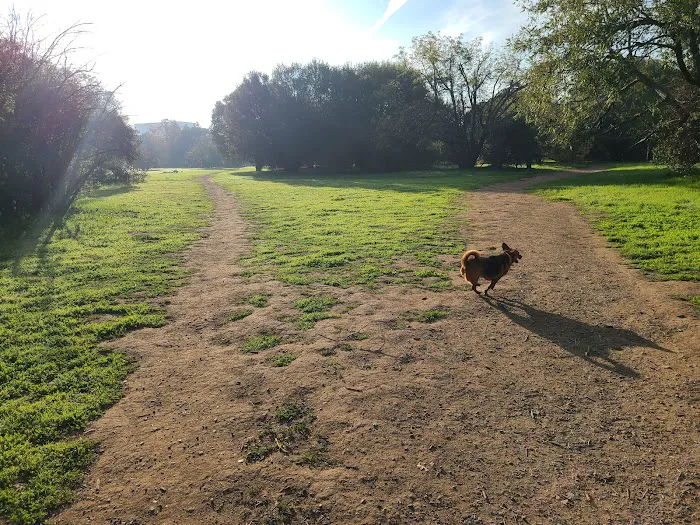 Fenced Dog Park | Rengstorff Park 8
