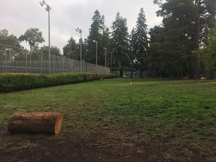 Fenced Dog Park | Rengstorff Park 9
