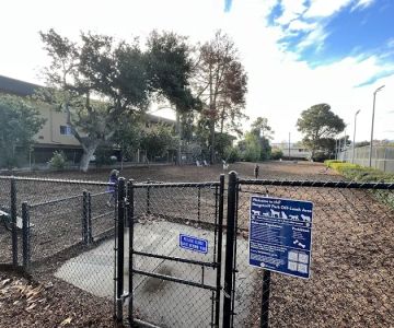 Fenced Dog Park | Rengstorff Park