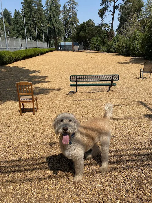 Fenced Dog Park | Rengstorff Park 10