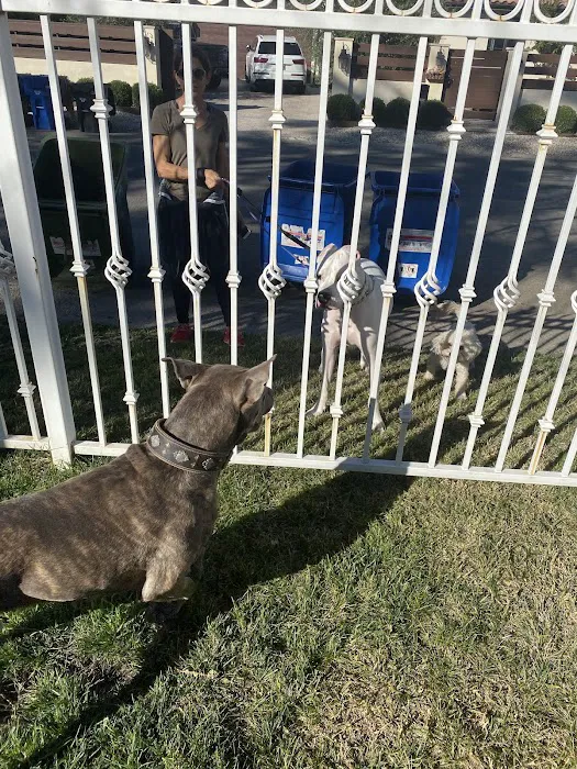 Fenced Dog Park | Rengstorff Park 3