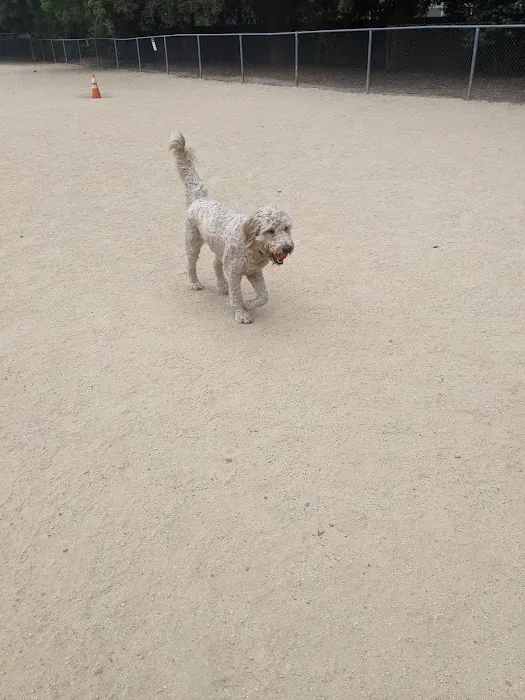 Dog Park | Las Palmas 3