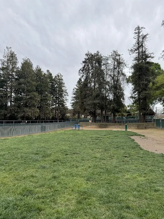 Dog Park | Las Palmas 6