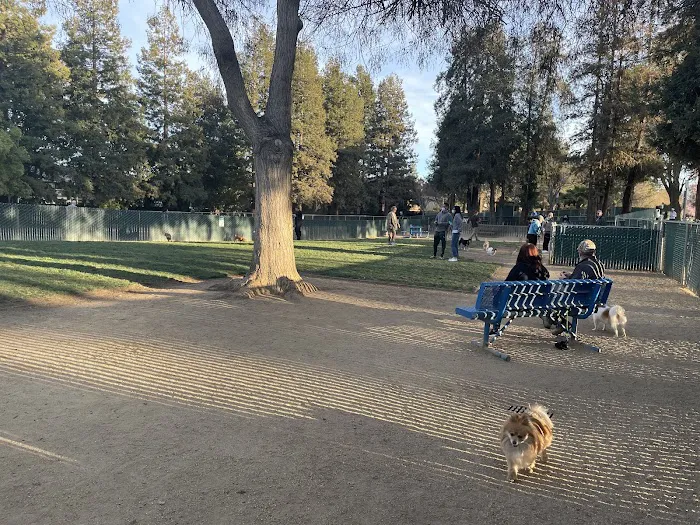 Dog Park | Las Palmas 4