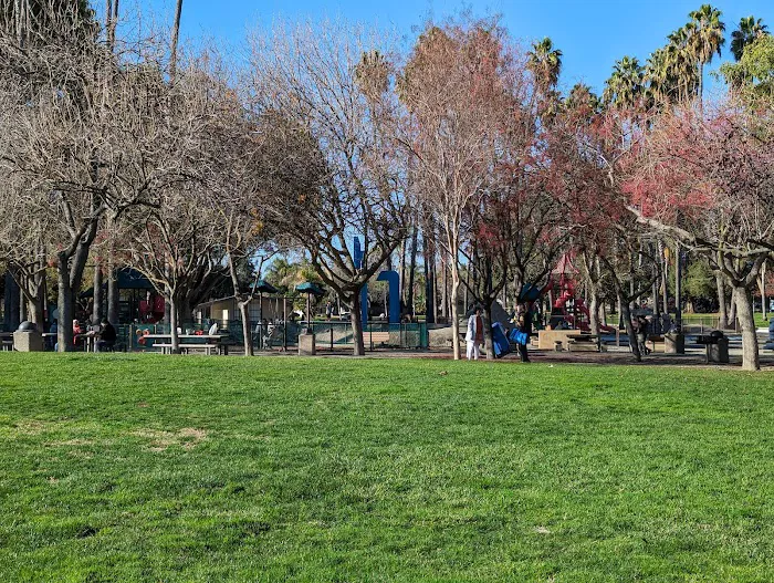 Dog Park | Las Palmas 10