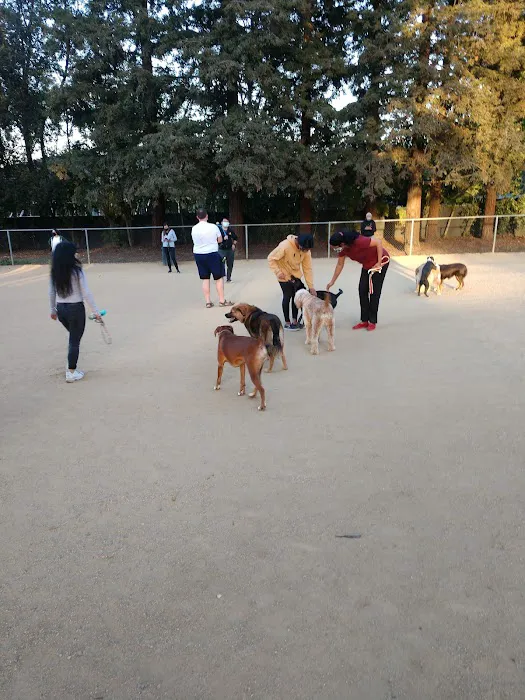 Dog Park | Las Palmas 8