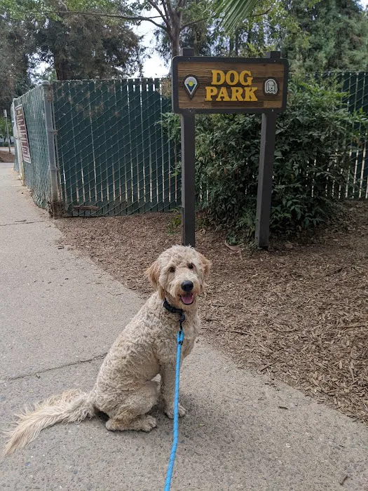 Dog Park | Las Palmas 7