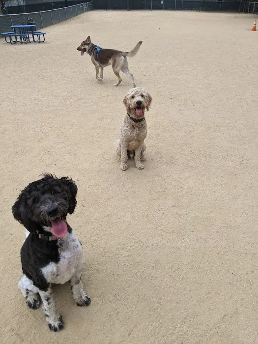 Dog Park | Las Palmas 5