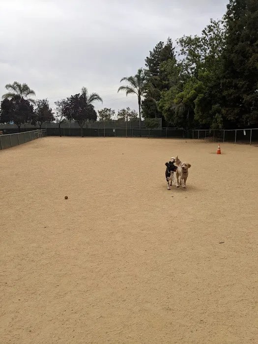 Dog Park | Las Palmas 1