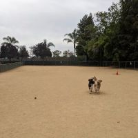 Dog Park | Las Palmas ico