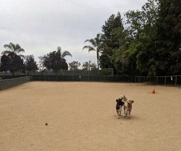 Dog Park | Las Palmas