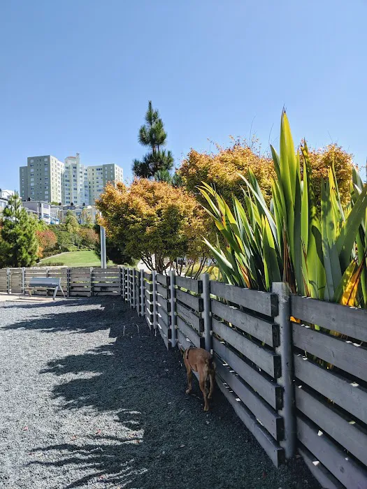 Brotherhood Mini Dog Park 3