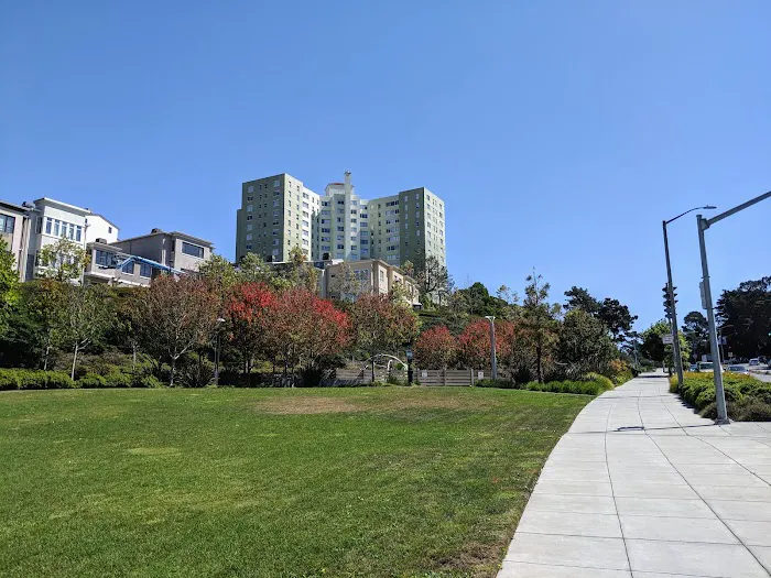 Brotherhood Mini Dog Park 1
