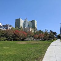 Brotherhood Mini Dog Park ico