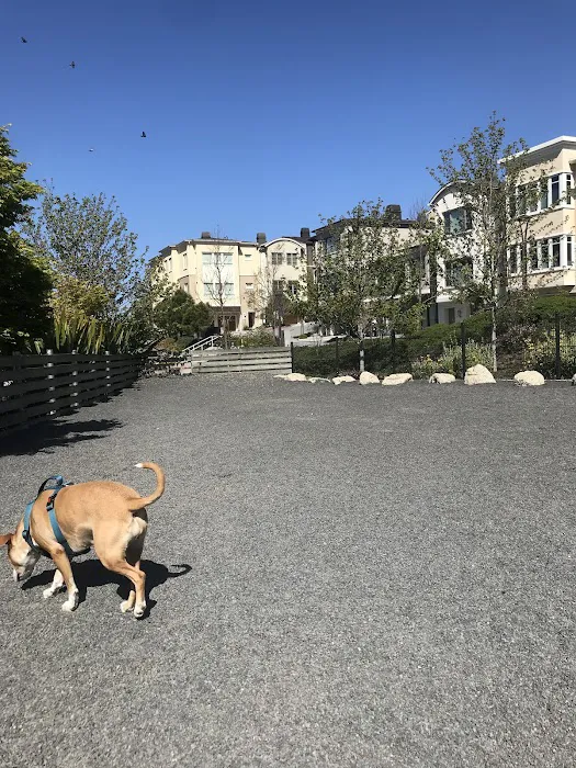 Brotherhood Mini Dog Park 7