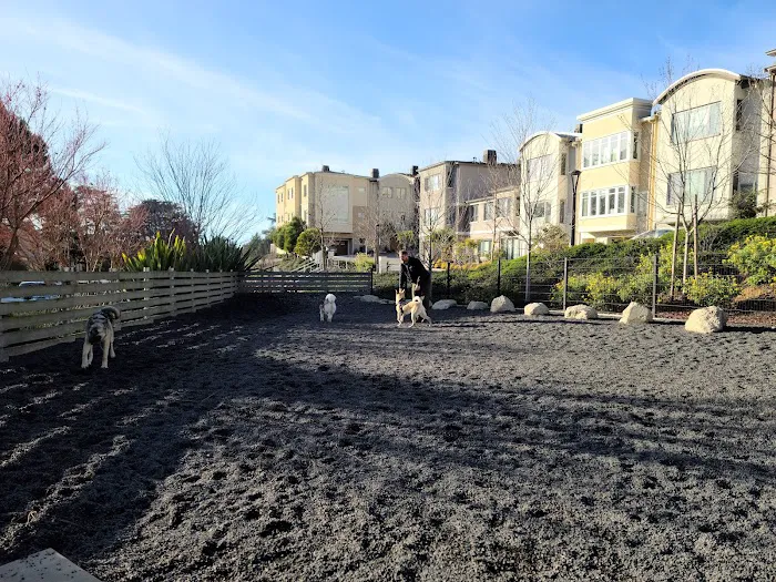 Brotherhood Mini Dog Park 8