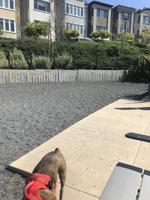 Brotherhood Mini Dog Park 6