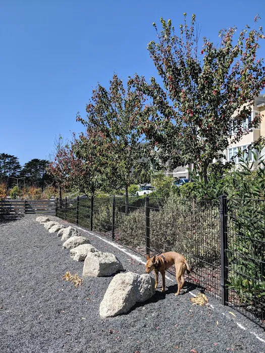Brotherhood Mini Dog Park 2
