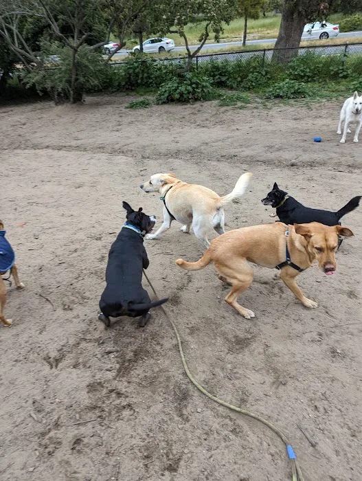 Brotherhood & Alemany Dog Play Area 8