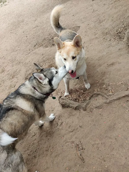 Brotherhood & Alemany Dog Play Area 5