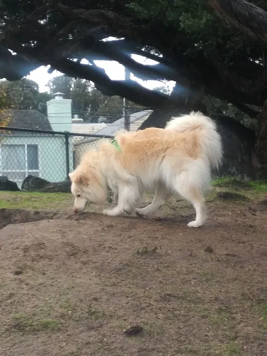 Brotherhood & Alemany Dog Play Area 6