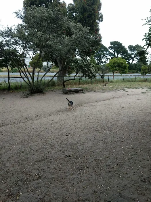 Brotherhood & Alemany Dog Play Area 4