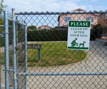 Bark Park