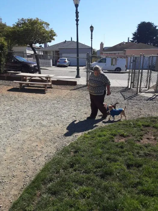 Bark Park 3