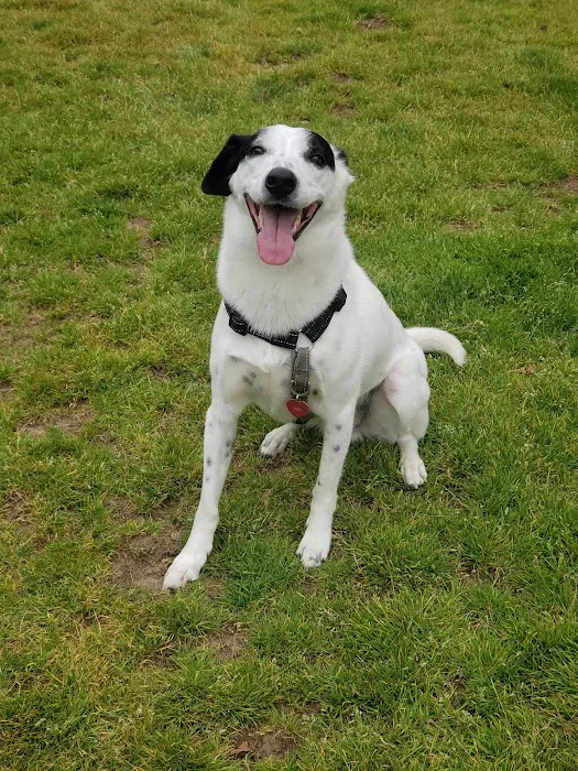 Bark Park 9