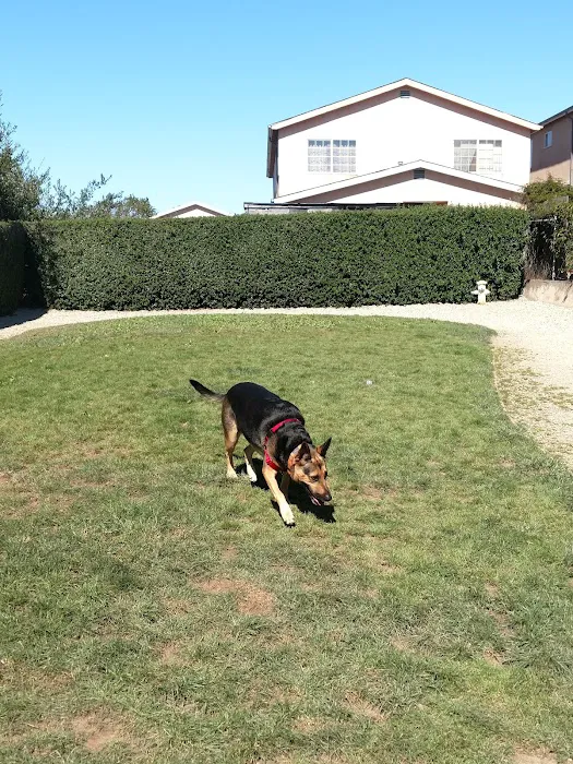 Bark Park 10