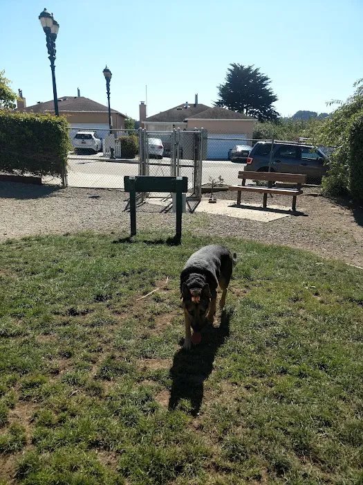Bark Park 7