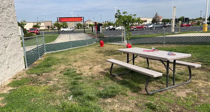 TA Dog Park 1