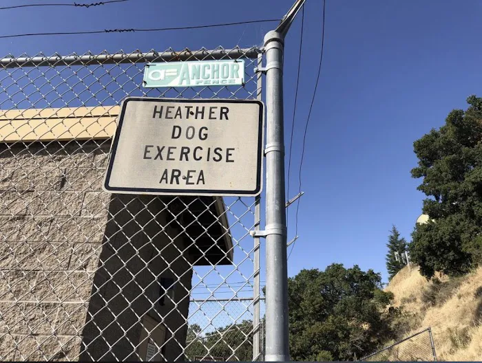 Dog Park | Heather School 5