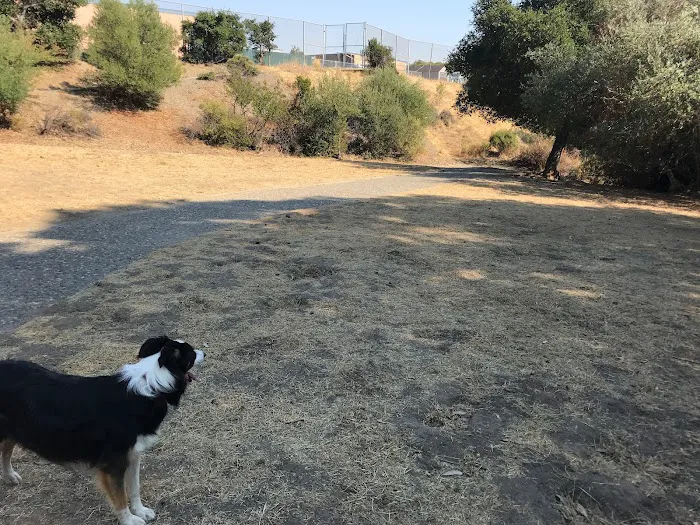 Dog Park | Heather School 3