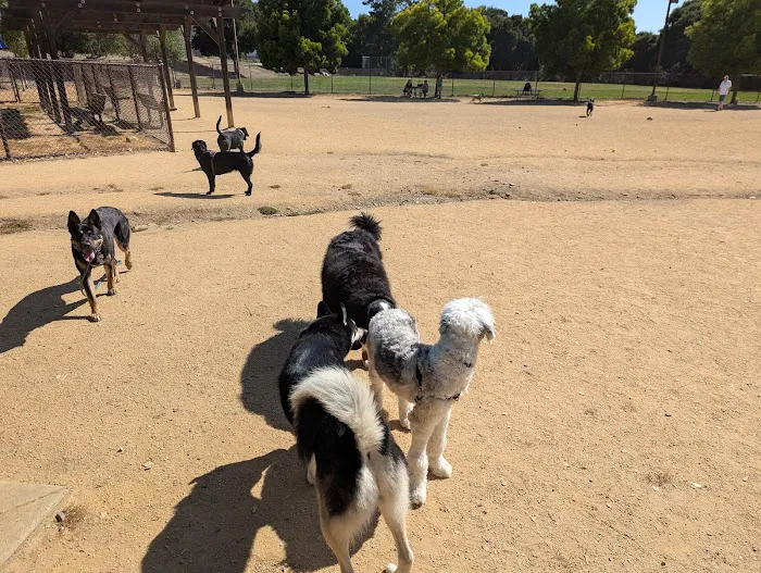 Cipriani Dog Park 9