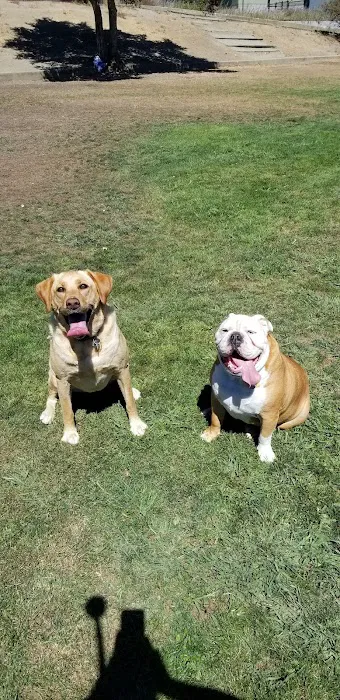 Cipriani Dog Park 4