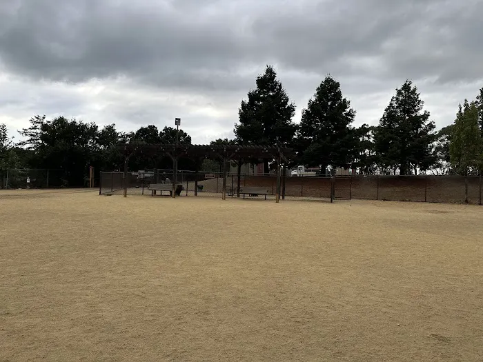 Cipriani Dog Park 1
